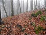 Kolnica - Planinski dom Goška ravan